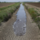 Illustration for article titled Here Are the Water Restrictions California Should Have Passed Today